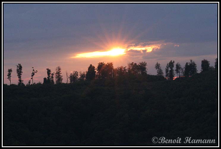 paysage(1)
