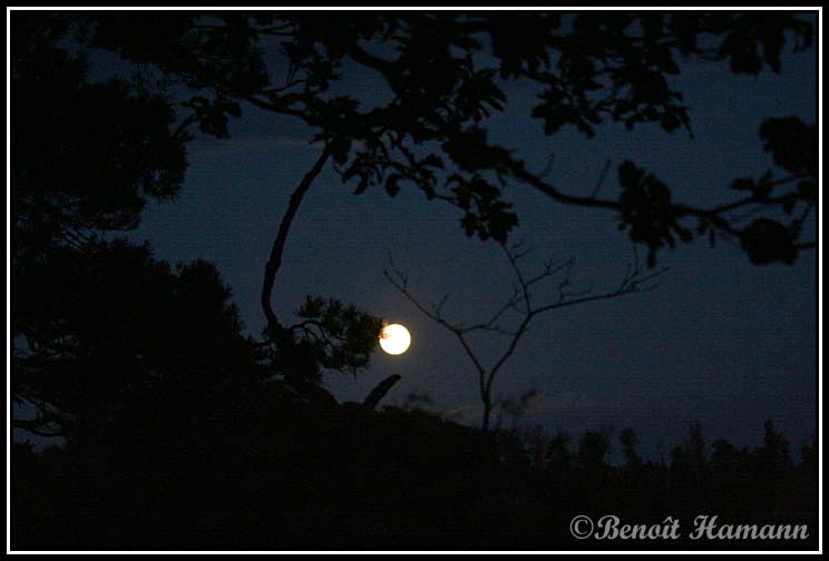 paysage(3)