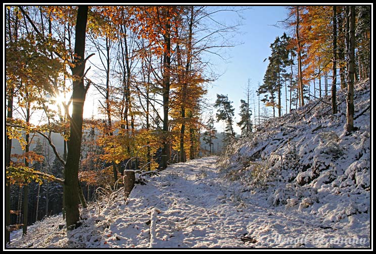 paysage(9)
